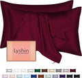 Mulberry Silk Pillow Cases 2 Pack Queen Size 20x30 Inches with Hidden Zipper, Ultra Smooth and Soft Breathable Cooling Silk Satin Pillowcase Set of 2, Better for Hair and Skin, Gifts for Women Men