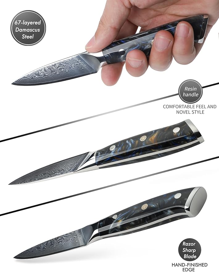 3.5 Inch Paring Knife - Kitchen Fruit Vegetable Knife Damascus Steel & Resin Handle - Xuan Series (Starry Black)