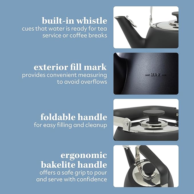 Sur La Table Kitchen Essentials Large 2 QT Heavy Gauge Stainless Steel Tea Kettle - Matte Black