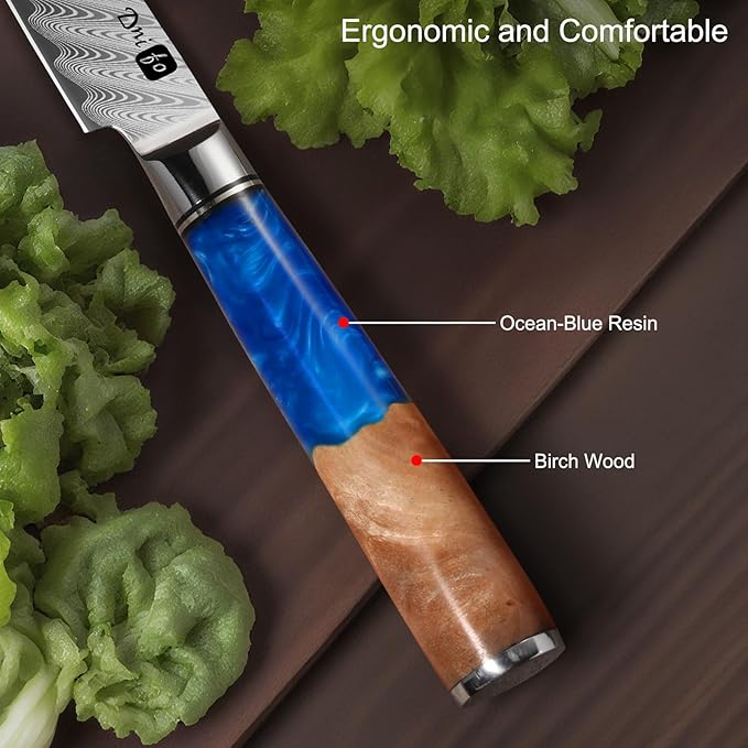 Classic Paring Knife 3.5 Inch, Japanese VG10 Steel Damascus Fruit Knife, Sharp Small Kitchen Knife with Gift Box and Resin Wood Handle,Ideal Birthday Gift for Men and Women