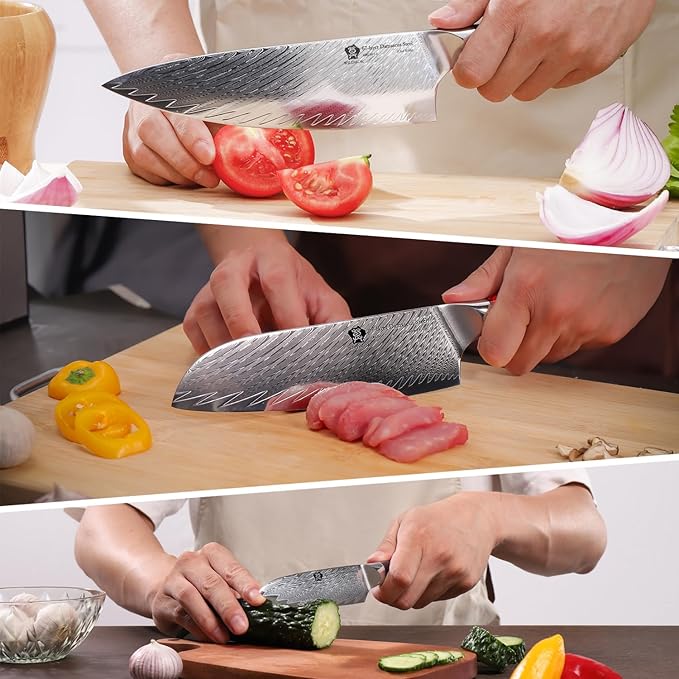 WILDMOK Professional Kitchen Knife Sets 3 PCS,Damascus Steel Chef Knife Set, 3PCS Ultra Sharp Japanese Kitchen Knives, Ergonomic Resin Handle Elegant Gift Box for Home or Restaurant