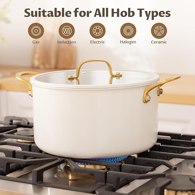 BEZIA 8 Quart Stainless Steel Stock Pot, Casserole with Lid, Large Cooking Pot, Soup Pot wiht Sturdy Handle, Compatible with Most Cooktops, Even Heat Distribution