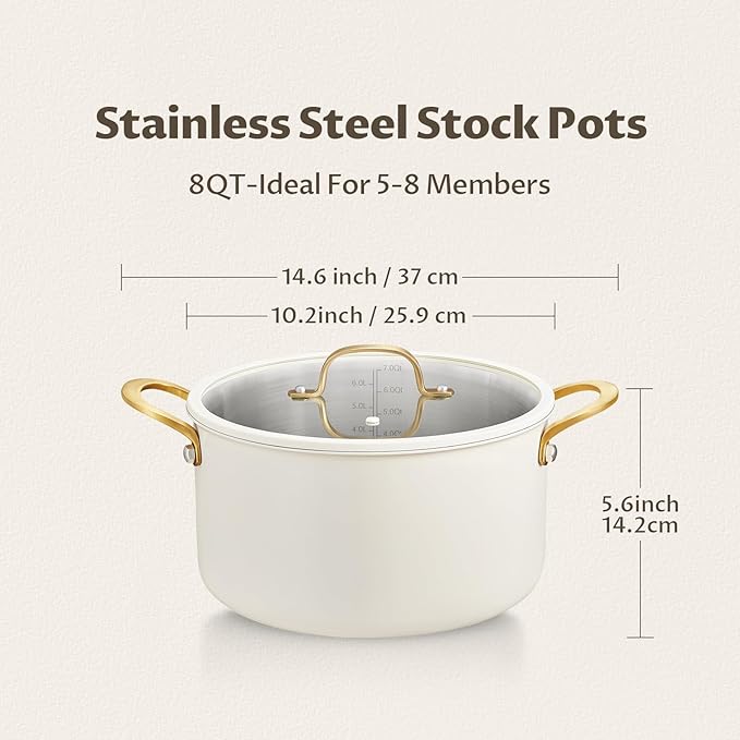 BEZIA 8 Quart Stainless Steel Stock Pot, Casserole with Lid, Large Cooking Pot, Soup Pot wiht Sturdy Handle, Compatible with Most Cooktops, Even Heat Distribution