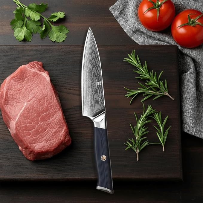 Utility Knife,5.5inch Damascus knife,67-Layer High Carbon Stainless Steel Kitchen Knife,Professiona Sharp Cutting Knives with Ergonomic Blue G10 Handle,Gift Box for Home and Kitchen Birthday Gift