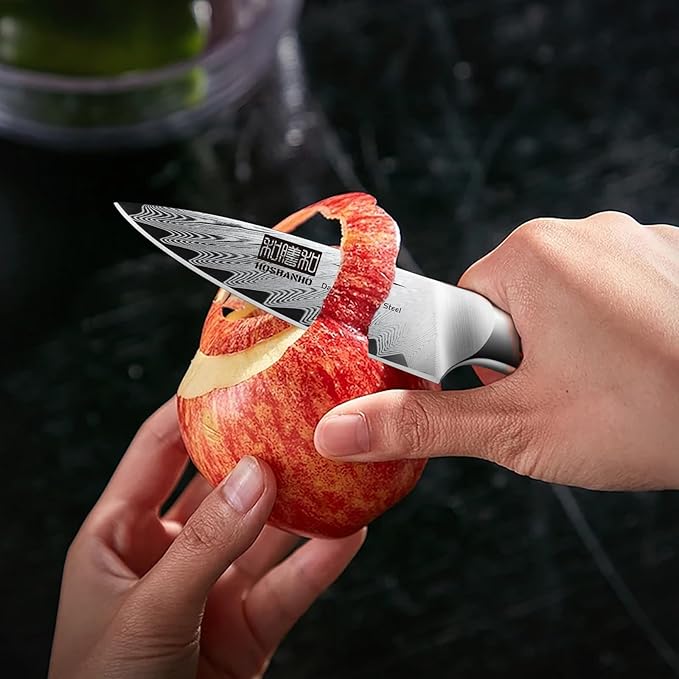 HOSHANHO Paring Knife 3.75 Inch Small Kitchen Knife, Super Sharp Damascus Steel Fruit Knife, Multifunctional Peeling Knife for Cutting Fruit Vegetables