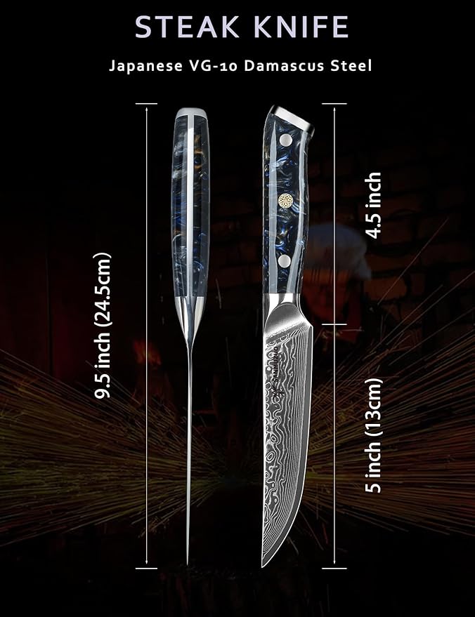 Steak Knives Set of 4, Ultra Sharp Non Serrated Kitchen Steak Knife 5 Inch - Damascus Steel & Resin Handle - Xuan Series (Starry Black)