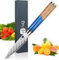 Classic Paring Knife 3.5 Inch, Japanese VG10 Steel Damascus Fruit Knife, Sharp Small Kitchen Knife with Gift Box and Resin Wood Handle,Ideal Birthday Gift for Men and Women