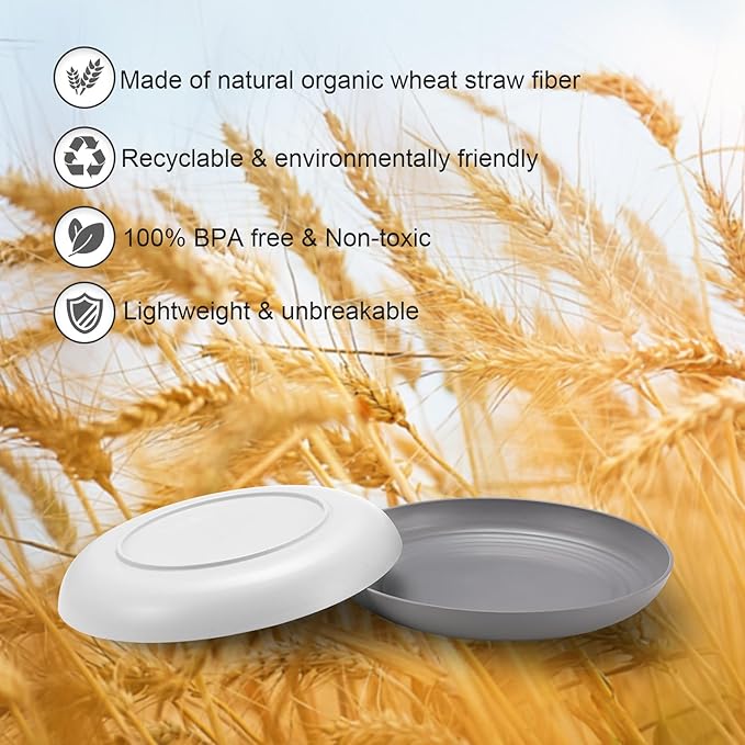 12 Pcs Unbreakable Deep Dinner Plates Set, 10 inch Reusable Plastic Wheat Straw Plates, Microwave and Dishwasher Safe Plate for Kitchen, Lightweight Plate for Dessert, BPA Free, Black