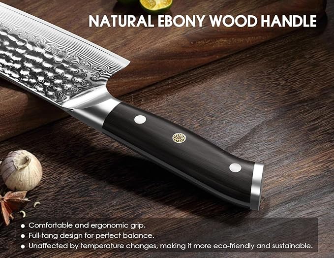 BRODARK Japanese Chef Knife, Damascus Chef Knife 8 inch with Japanese VG-10 Steel Core, Ultra-Sharp Professional Kitchen Knife, Handcrafted with Ebony Wood Handle, Holiday Gifts