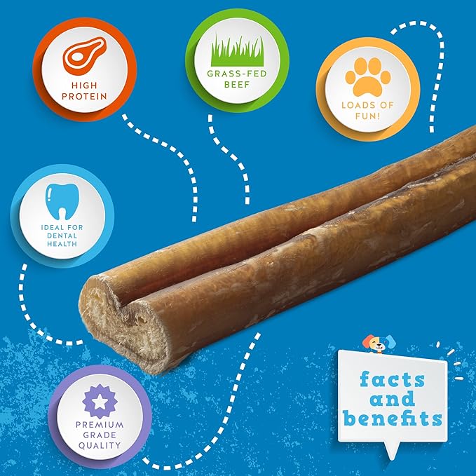 Jack&Pup 6" Bully Sticks Dog Chews | Odor Free Bully Sticks | Single Ingredient, All Natural Pizzle Sticks for Dogs (6oz, 10/12 Sticks)