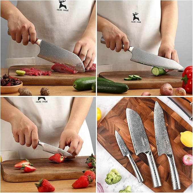 Damascus Kitchen Knife Set with Block, 4 Pieces Knife Block Set with Hammered Patterns Ergonomic Handles, 67 Layer Handmade Damascus VG10 Steel Core NF-D0519T-4B
