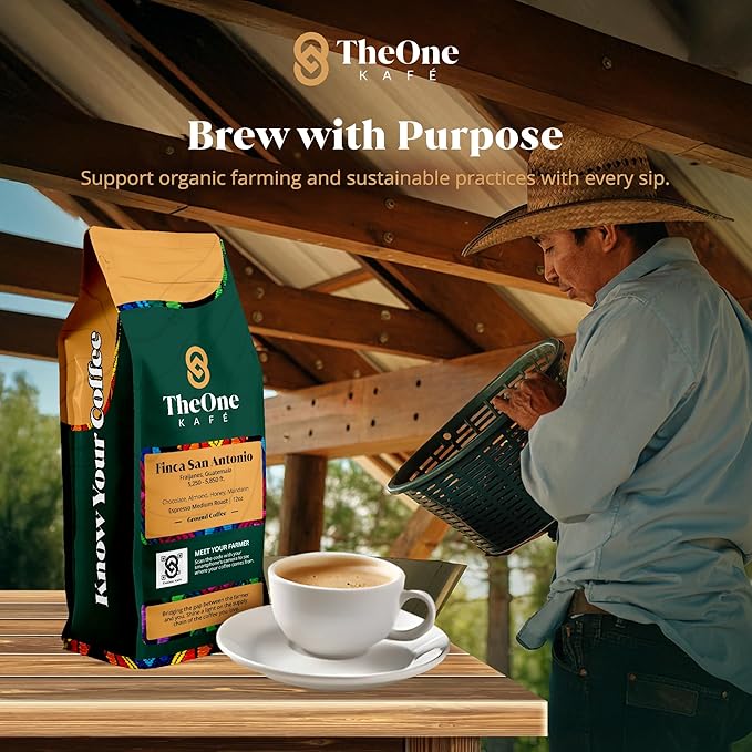 TheOne Kafé Guatemala Medium Roast Ground Coffee – Organic, Single Origin, Premium Specialty Coffee, Ethically Sourced, Smooth & Rich Flavor – Fresh Roasted for Espresso, Drip, Pour Over – 12 oz