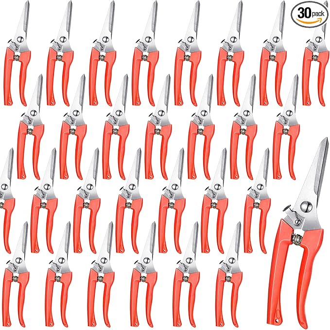 Chumia 30 Pcs Garden Flower Shears Pruning Scissors Heavy Duty Plant Scissors Trimming Garden Clippers Hand Tree Pruner for Yard Gardening Plants Hedge Flower Tree Cutting Secateurs (Orange)