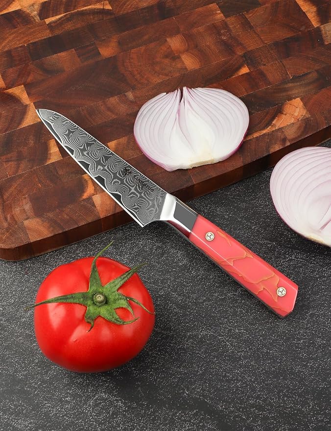 Kitchen Utility Knife 5 Inch, Professional Kitchen Chef Knife, Ultra Sharp Damascus Powder Steel with Full-tang Resin Handle, SHENG Series