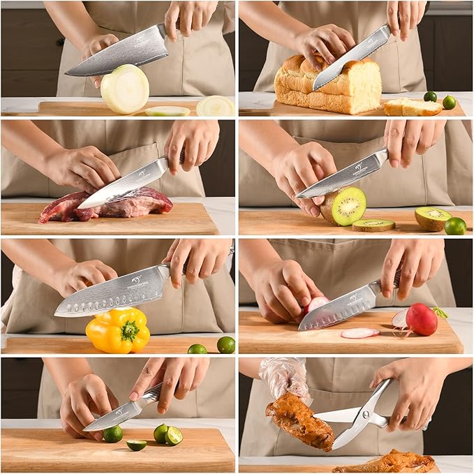 NANFANG BROTHERS® 10 Pieces Damascus Kitchen Knife Set, High Carbon Stainless Steel Damascus Steel Chef Knife Set, Stainless Steel Ergonomic Handle for Chef, with Built-in Sharpening Rod NF