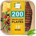 100% Natural 10” Palm Leaf Square Plate (200 Pack), Compostable & Biodegradable Dinnerware for Catering, Birthdays, Halloween, BBQs, Thanksgiving, Alternative to Paper & Bamboo Plates Disposable