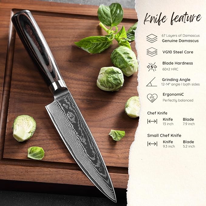 Wakoli ESE 2-Piece Damascus Chef Knife Set – 13-Inch & 9.3-Inch Professional Kitchen Knives | 67-Layer VG10 Core Steel | Ergonomic Pakkawood Handles | Premium Cooking Knives in Gift Box