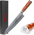 SUNLONG Gyuto 10 inch Pro Chef's Knife Japanese Knife Kitchen Knife - Hammered Damascus VG10 Steel - Bloodwood Handle