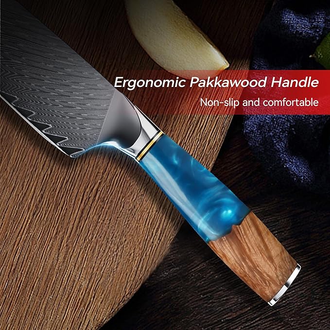 8" Chef's Knife, Japanese Damascus Chefs Knife 67 Layers High Carbon VG10 Steel Core with Resin & Burl Ergonomic Handle, Gift Box