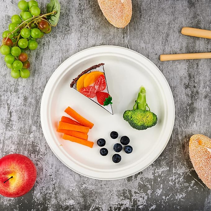 Vplus 500 Pack Compostable Disposable Paper Plates 10.25 inch Super Strong Paper Plates 100% Bagasse Natural Biodegradable Eco-Friendly Sugarcane (white)