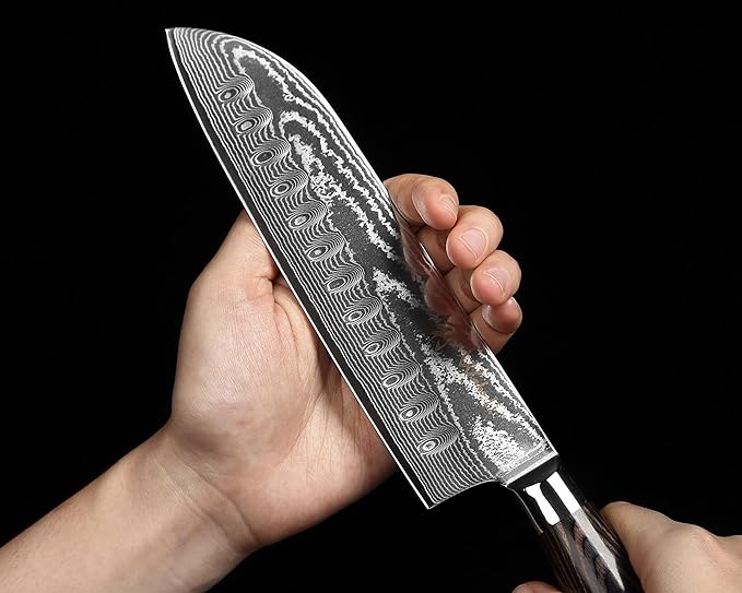 Wakoli ESE 4-Piece Damascus Knife Set – Professional Chef Knives | 67-Layer VG10 Core Steel | Santoku, Chef, Small Santoku & Office Knife | Ergonomic Pakkawood Handles | Gift Box