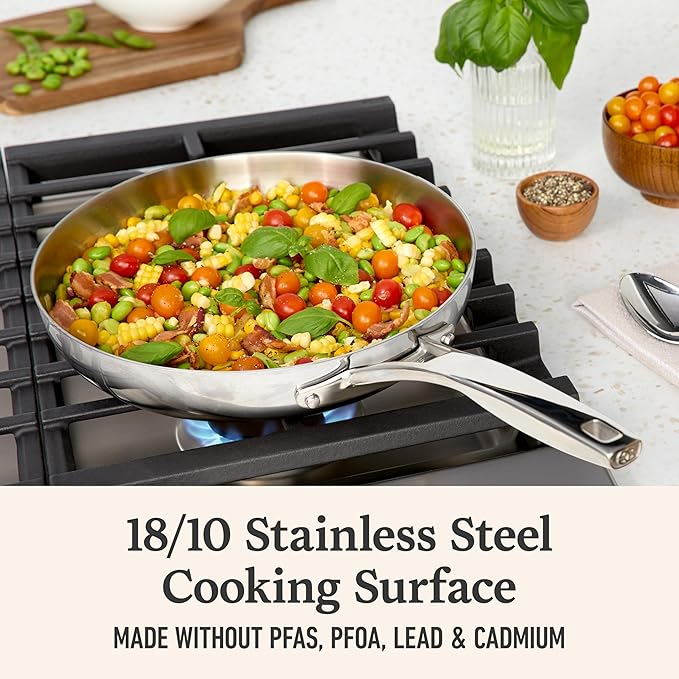 Premier Stainless Steel 10" Fry Pan