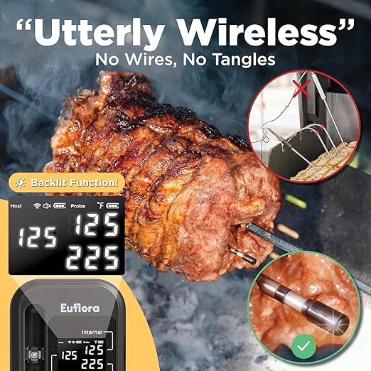 Wireless Meat Thermometer with Digital Meat Probe, Measures Internal & Ambient Temp, 800FT Bluetooth Meat Thermometer with Host Control for Barbecue, Outdoor Grilling, Oven & Smoker (Black)