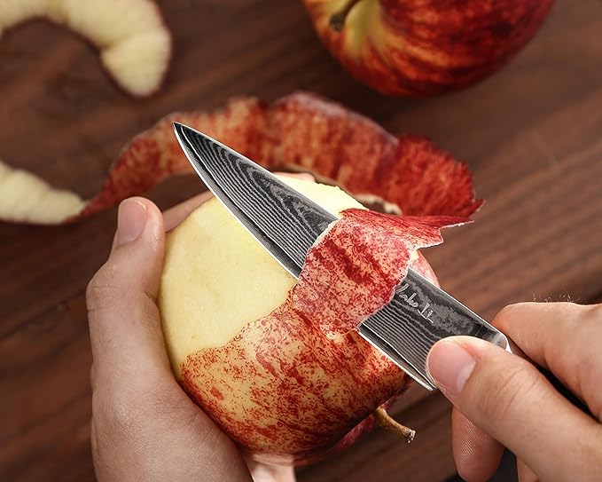 Wakoli ESE 4-Piece Damascus Knife Set – Professional Chef Knives | 67-Layer VG10 Core Steel | Santoku, Chef, Small Santoku & Office Knife | Ergonomic Pakkawood Handles | Gift Box