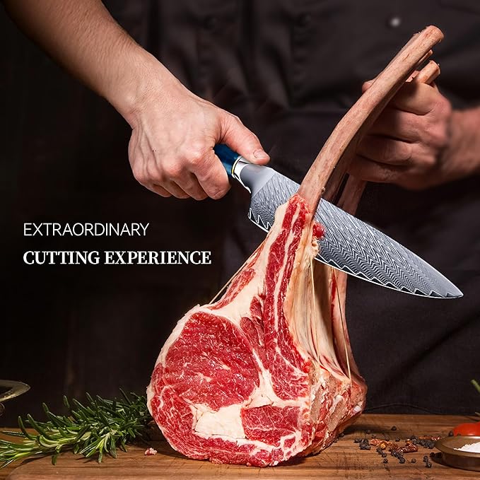 8" Chef's Knife, Japanese Damascus Chefs Knife 67 Layers High Carbon VG10 Steel Core with Resin & Burl Ergonomic Handle, Gift Box