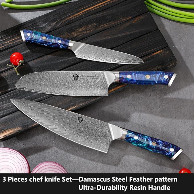 WILDMOK Kitchen Knife Set, 3 Piece Damascus Steel Professional Chef Knife Set with Ultra Sharp Blade & Resin Handle -Kitchen Knife Set 3 Pcs