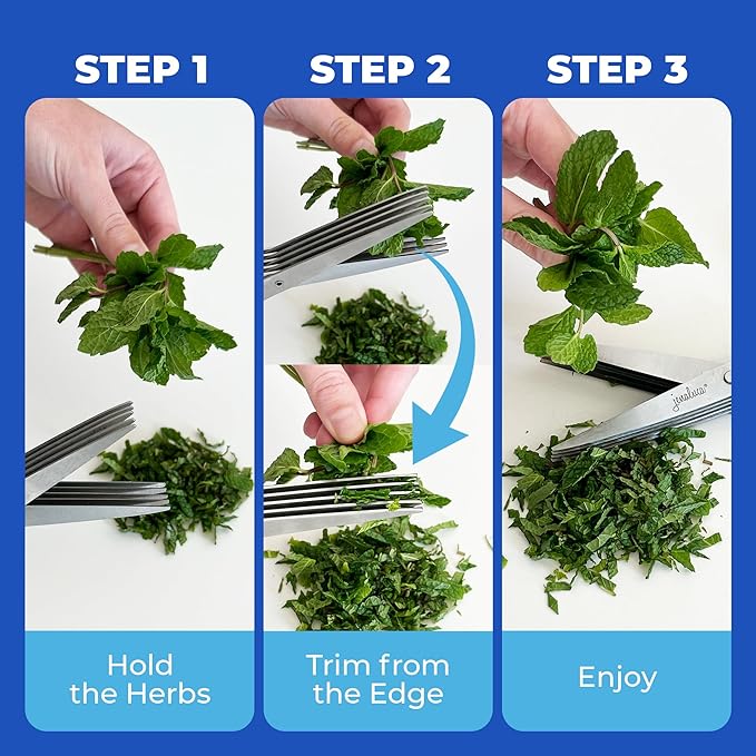 Jenaluca 5 Blade Herb Scissors - Cut & Chop Fresh Herbs & Leafy Greens - Salad Scissors - Stainless Steel Kitchen Shear Set with Cleaning Comb & Safety Cover - Kitchen Gadget - Green