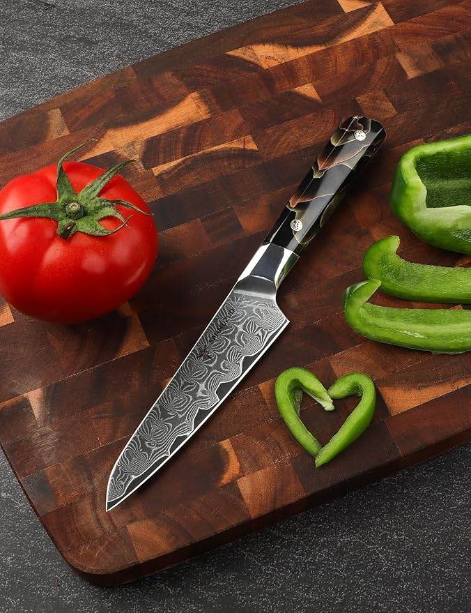 Kitchen Utility Knife 5 Inch, Professional Kitchen Chef Knife, Ultra Sharp Damascus Powder Steel with Full-tang Resin Handle, Bi Series