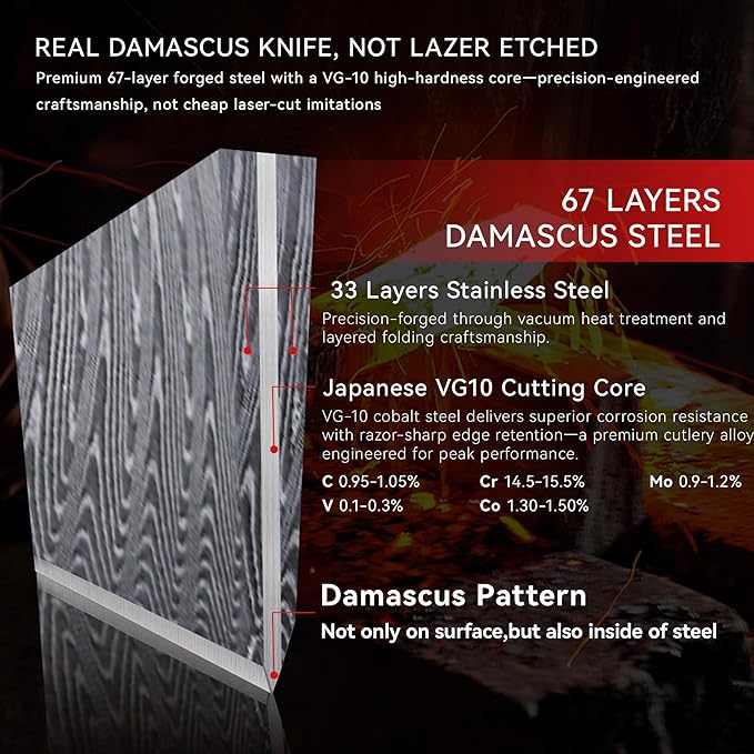 8" Chef's Knife, Japanese Damascus Chefs Knife 67 Layers High Carbon VG10 Steel Core with Wood Ergonomic Handle, Gift Box