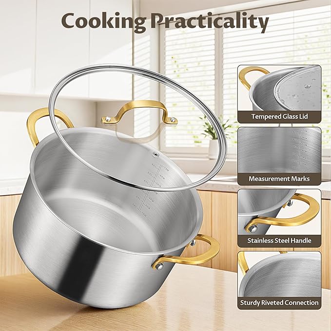BEZIA Large 10 Quart Tri-Ply Stainless Steel Stock Pot, Nonstick Soup Pot With Lid, Sturdy & Double Handle, Induction Stockpot for All Stoves, Large Cooking Pot for Catering, Groups, Events, Silver