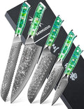 Chef Cooking Knives Set- Kitchen Knife Set of 5 Piece - Ultra-Sharp VG10 Damascus Steel & Resin Handle - Xuan Series (Jade Green)