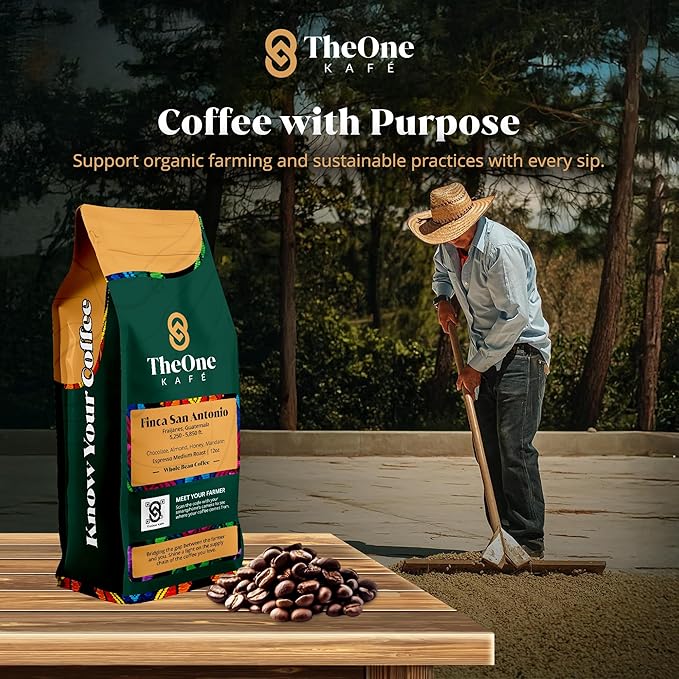 TheOne Kafé Guatemala Medium Roast Whole Bean Coffee – Organic, Single Origin, Premium Specialty Coffee, Ethically Sourced, Smooth & Rich Flavor – Fresh Roasted for Espresso, Drip, Pour Over – 12 oz