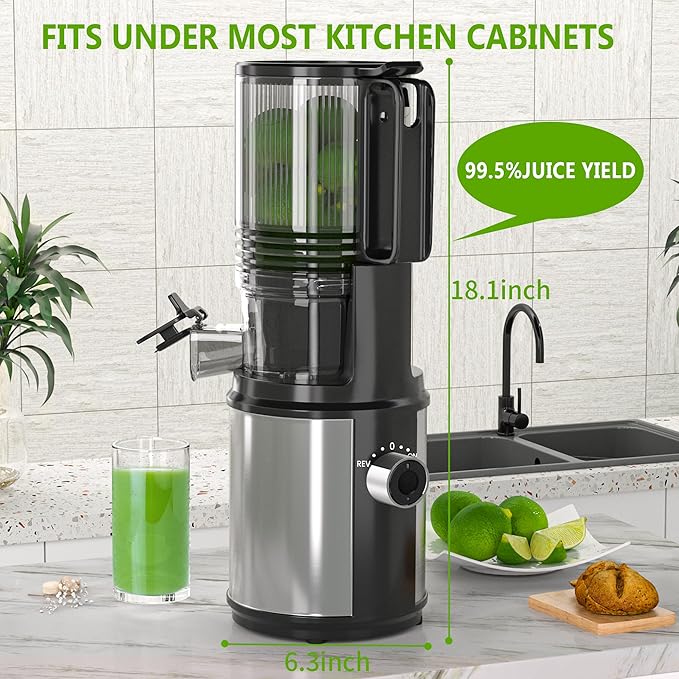 Cold Press Juicer – 6.5" Extra Large Feed Chute Fit Hands-Free Electric Masticating Juicer Machine, 350W Slow Masticating Juicer Machine for Whole Fruit and Vegetables – Easy Cleanup & Assembly