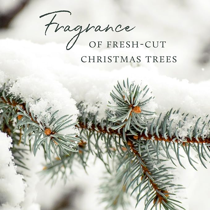 Thymes Frasier Fir Reed Diffuser Set – Includes Reeds, Fragrance Oil, and Frosted Glass Bottle – Fragrance Oil Diffuser – Room Fresheners – Luxury Home Decor – White (Flocked, 4 fl oz)