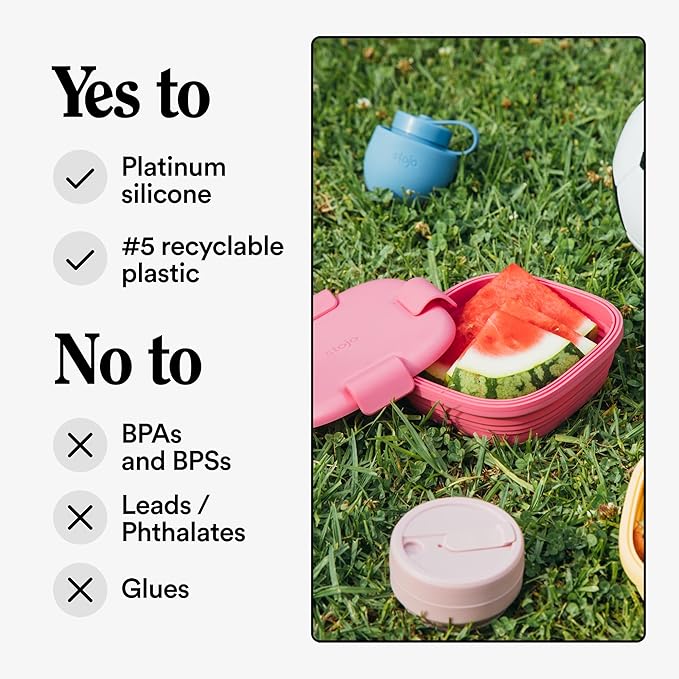 STOJO Collapsible Sandwich Box – 24oz, Reusable Food Storage Container, Silicone Bowl for Hot/Cold Food – Meal Prep, Lunch, Camping, Hiking – Dishwasher Safe (Set of 1, Peony)