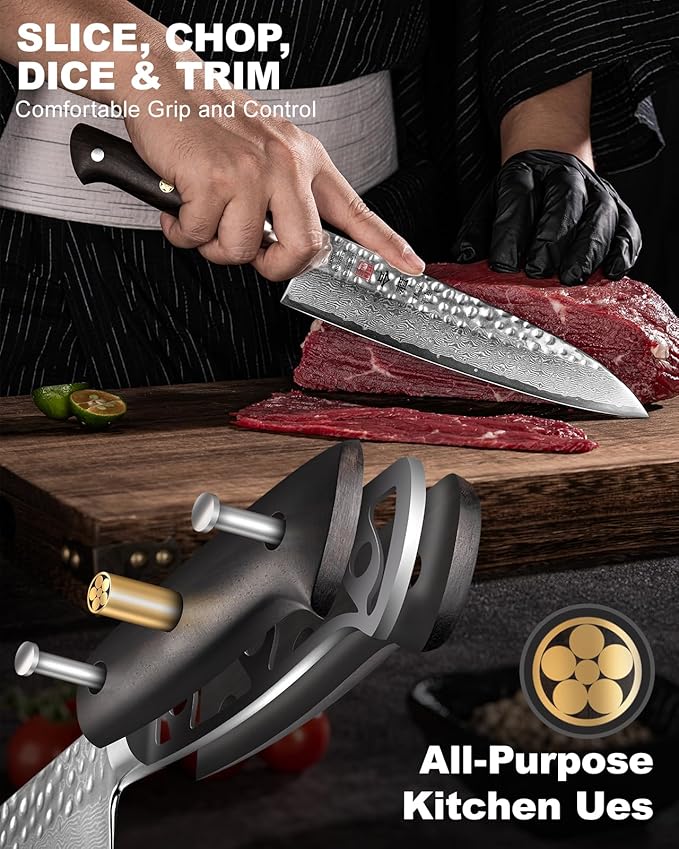 Japanese Chef Knife Kitchen Knife with 67 Layers Damascus Steel AUS-10 Core, Professional Damascus Knife with Full-Tang Ebony Wood Handle and Premium Gift Box(8.27 Inch Gyuto Chef Knife)