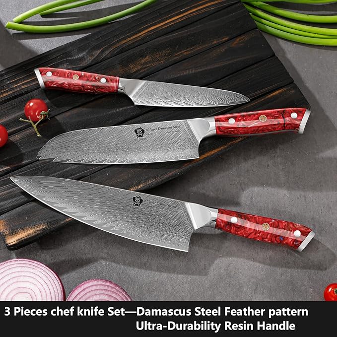 WILDMOK Damascus Kitchen Knife Sets 3 PCS, Razor Sharp Kitchen Knives Made of Japanese Damascus Steel, Well-Balanced Damascus Chef Knife set with Premium Resin Full Tang Handle Triple Rivet Gift Box