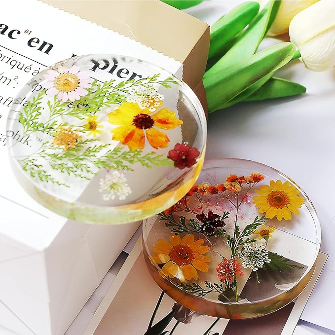 Deep Round Resin Coaster Molds, 6 Cavity Thicken Round Silicone Coaster Molds for Epoxy Resin, DIY Crafts, Bouquet Preservation,Home Decoration