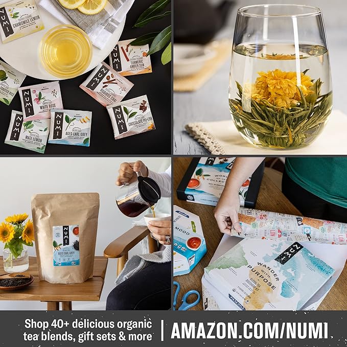 Numi Organic Roasted Japanese Green Tea Variety Pack, Hojicha, Yuzu Bancha & Kukicha, 16 Count (Pack of 3)