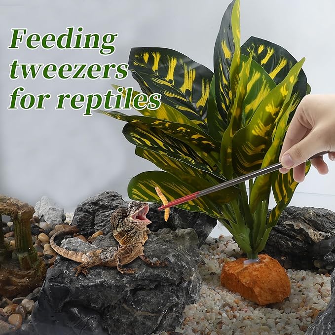 Reptile Feeding Tongs, Stainless Steel Lizard Feeding Tongs, Aquarium Straight Feeding Tweezers for Reptiles with Rubber Tip, Terrarium Feeding Tongs for Gecko, 10.63" Length, Red