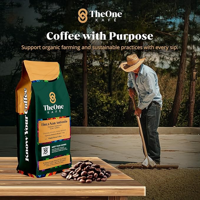 TheOne Kafé Guatemala Medium Roast Whole Bean Coffee – Organic, Single Origin, Premium Specialty Coffee and Ethically Sourced – Fresh Roasted for Espresso, Drip, Pour Over – 12 oz (Pack of 2)