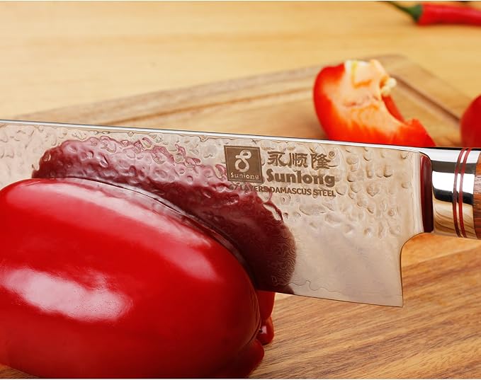 SUNLONG Gyuto 10 inch Pro Chef's Knife Japanese Knife Kitchen Knife - Hammered Damascus VG10 Steel - Bloodwood Handle