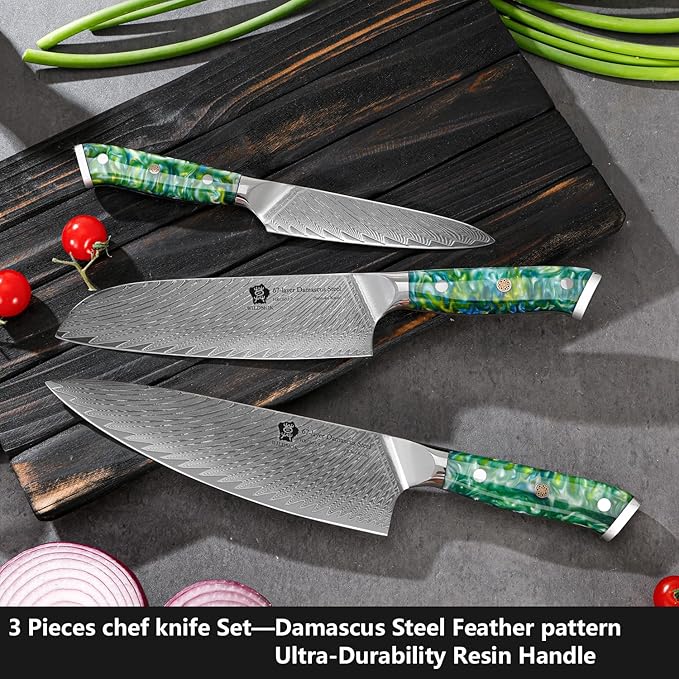 WILDMOK Professional Kitchen Knife Sets 3 PCS,Damascus Steel Chef Knife Set, 3PCS Ultra Sharp Japanese Kitchen Knives, Ergonomic Resin Handle Elegant Gift Box for Home or Restaurant