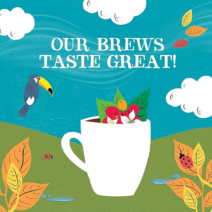 Clipper Coffee: Organic Latin American Instant Coffee – Medium Roast Coffee, Freeze Dried & Ethically Sourced – 6 Pack, 100g Per Jar