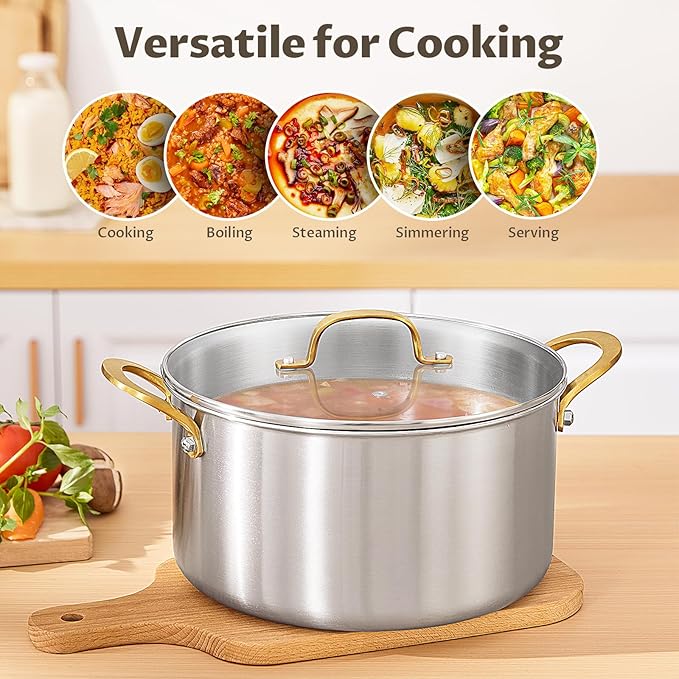 BEZIA Large 10 Quart Tri-Ply Stainless Steel Stock Pot, Nonstick Soup Pot With Lid, Sturdy & Double Handle, Induction Stockpot for All Stoves, Large Cooking Pot for Catering, Groups, Events, Silver