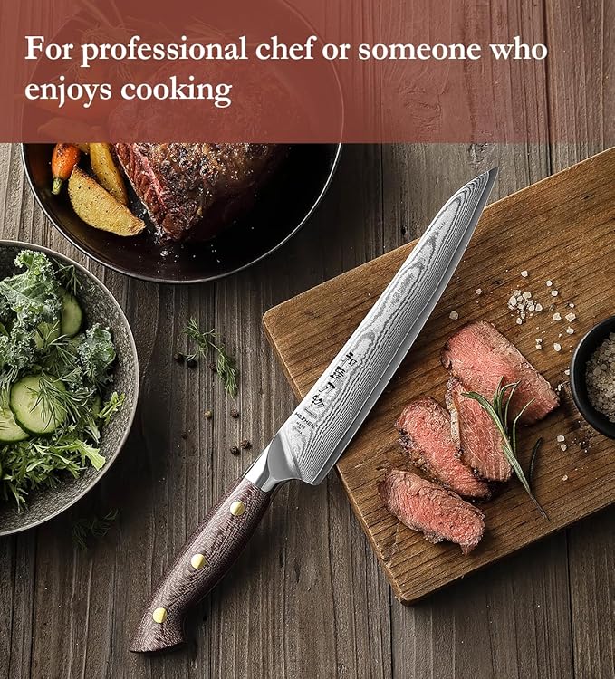 HEZHEN Carving Knife, 67 Layers Damascus Steel BBQ Slicing, 8.3 Inches, Professional Brisket Slicing Meat Knife, Ergonomic Micarta Handle, Gift Packing
